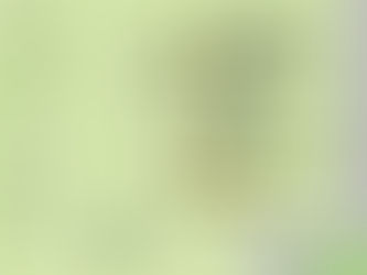 本日4/21(日)花笠山マルシェ開催!!