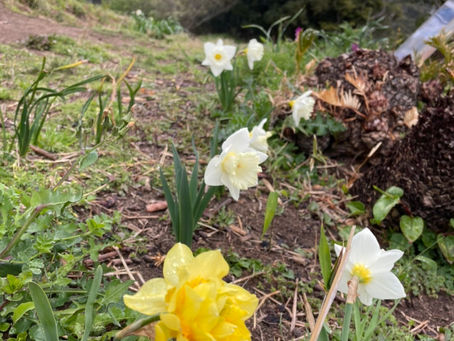 1周年マルシェまであと2日!!