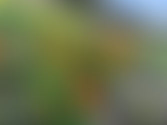 次回のマルシェは4/21(日)!!