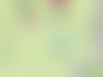 明日は花笠山マルシェ開催!!