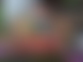 「花笠山微笑みマルシェ」