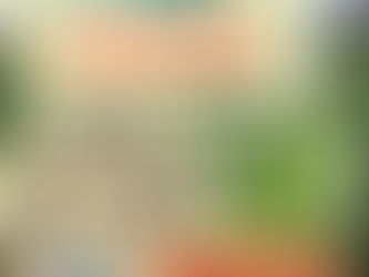 そら豆収穫体験開始!!