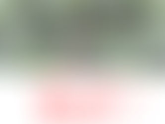 ~鴨川七里収穫体験延期のお知らせ~