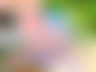 ~29日(土)花笠山微笑みマルシェ開催~