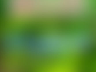 鴨川七里をご自宅へお届けします!!