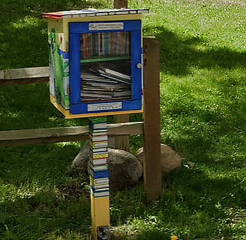 littlelibrary.jpg