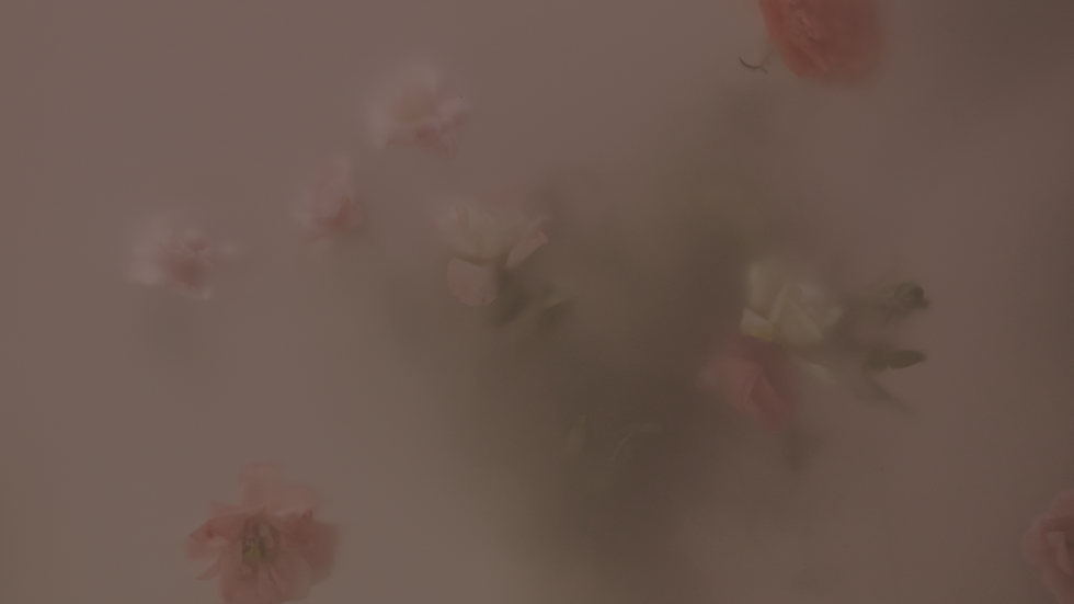 Marketing Strategie White Company x Glücksewege.png