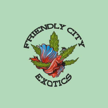 Logo Design