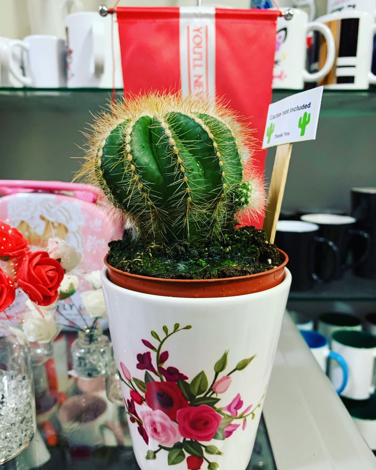 Flower pot with personalize printing