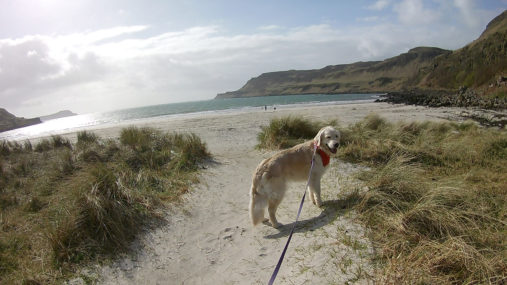 Calgary Beach - Isle of Mull