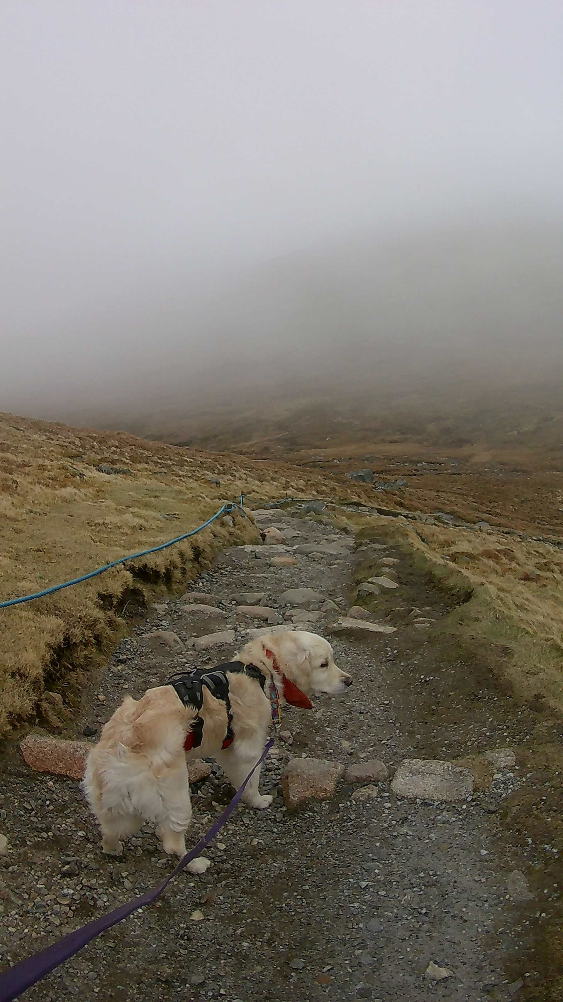 Aonach Mór