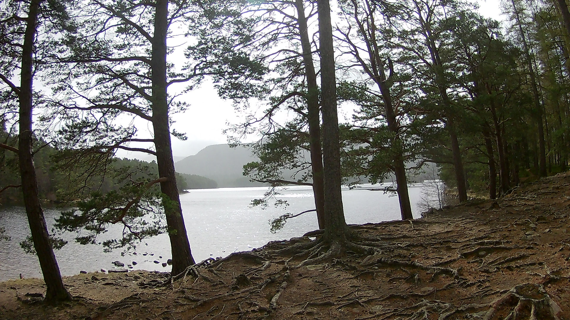 Loch an Eilean / Rothiemurchus