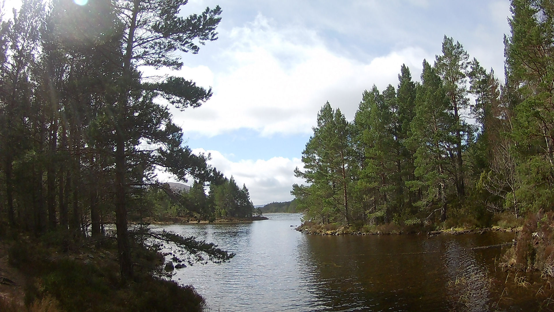 Loch an Eilean / Rothiemurchus