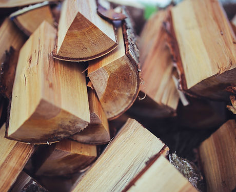Cut Wood