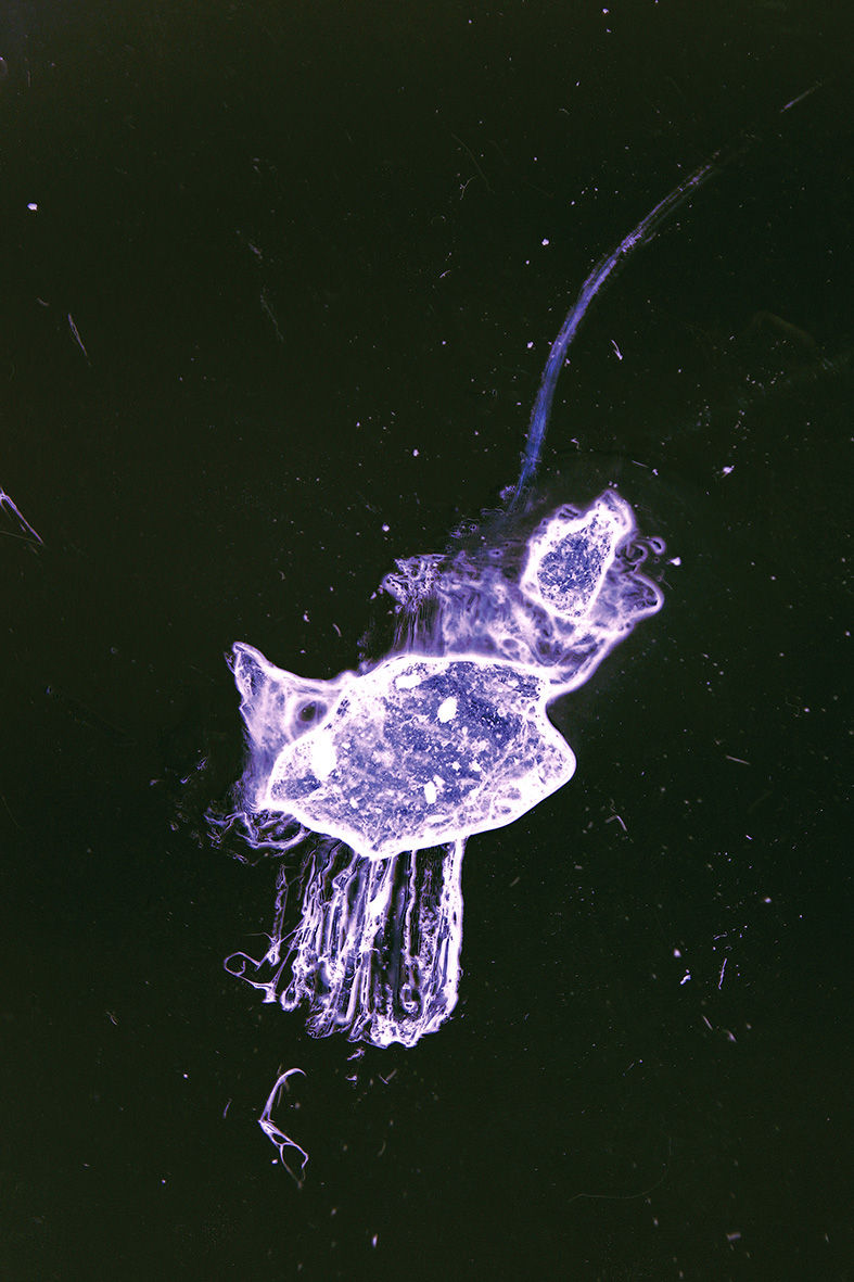 Nr. 010 (Microbe II)