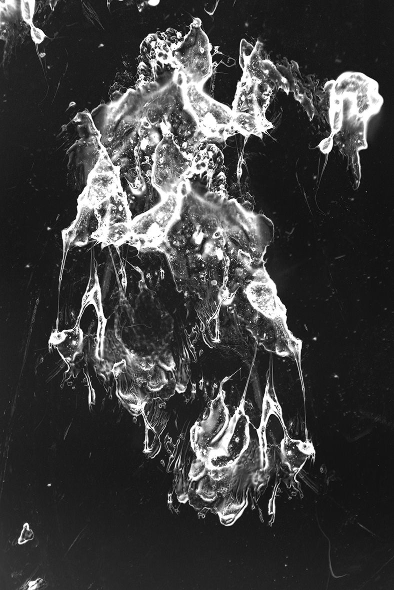 Nr. 055 (Animus Ulcus IV)