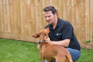 Meet Jon Roff, owner of My Best Friend Dog Care