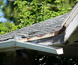Emergency roof leak damage repair service exteriors now.png
