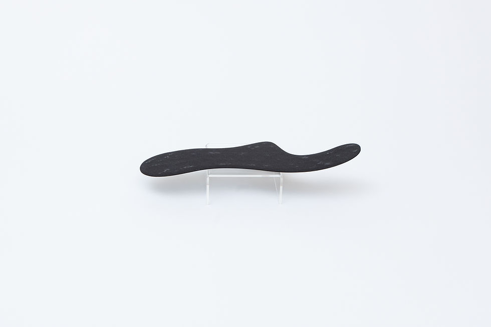Thumbnail: Morton's Extension Carbon Fiber Foot Plate