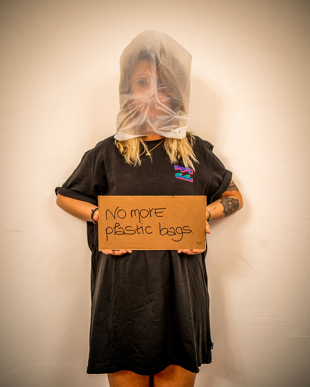 no more plastic bags blog