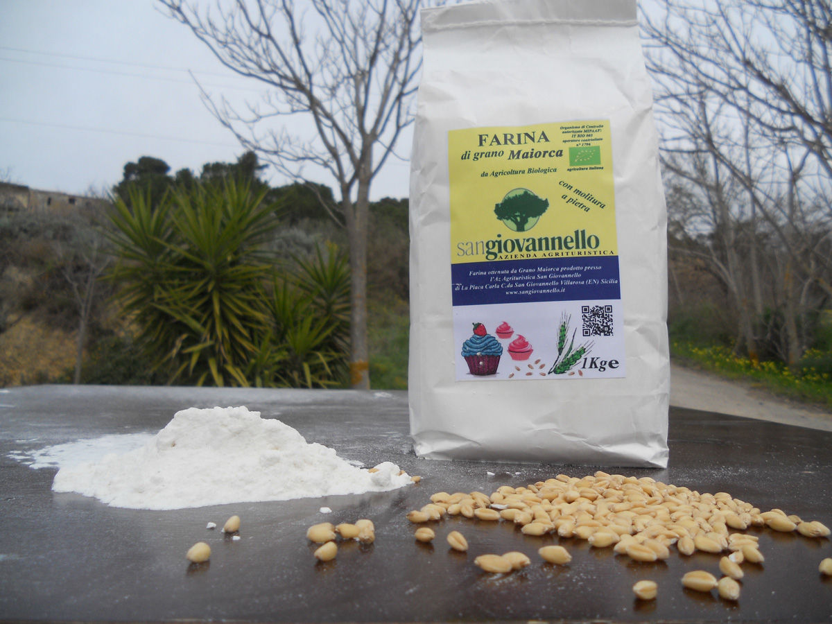 Farina di Maiorca Bio molita a pietra tipo 1 conf. 1 Kg