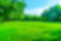 AdobeStock_217381880.jpeg