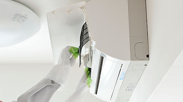 AdobeStock_84701726 (1).jpeg