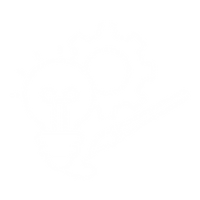 Hayag Tech (11).png