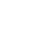 Hayag Tech (3).png