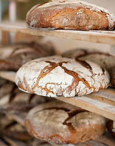 Fresh Bread
