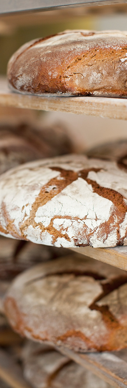 Fresh Bread