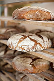 Fresh Bread