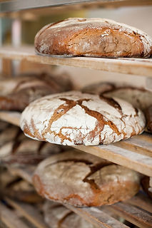 Fresh Bread