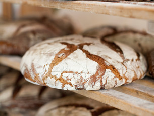 IS GLUTEN CAUSING YOU HARM?