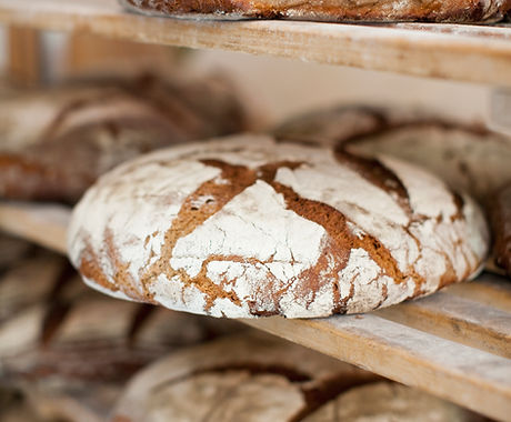 Fresh Bread
