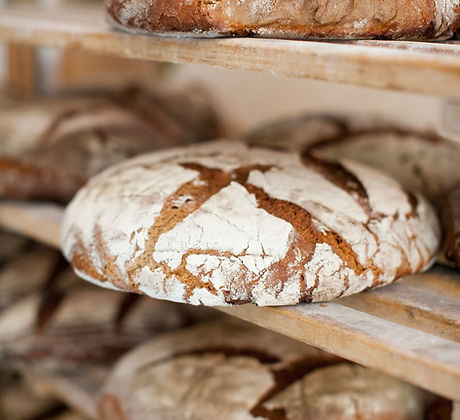 Fresh Bread