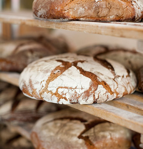 Fresh Bread