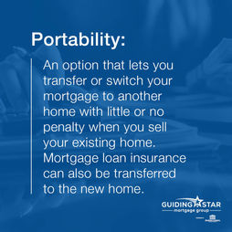 GS Terminology Portability.jpg