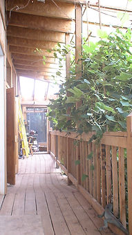 DSC06628.JPG