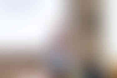 Prof. Koon Ho Chan from HKU