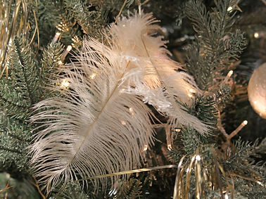 plume noel.jpg