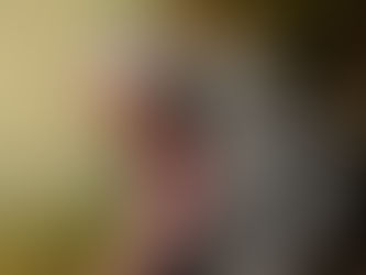 Feedback and Our Ice Age Brains