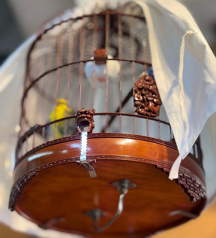 chinese birdcage.jpg