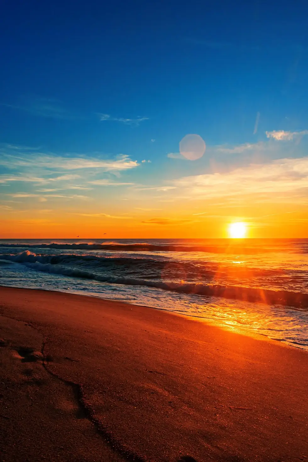 beautiful-beach-sunrise-blue-sky (1) (convert.io).webp