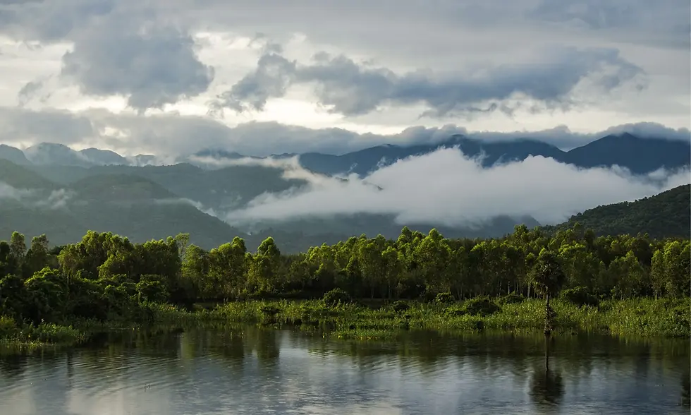 IMG_1310 (1) (1) (convert.io).webp