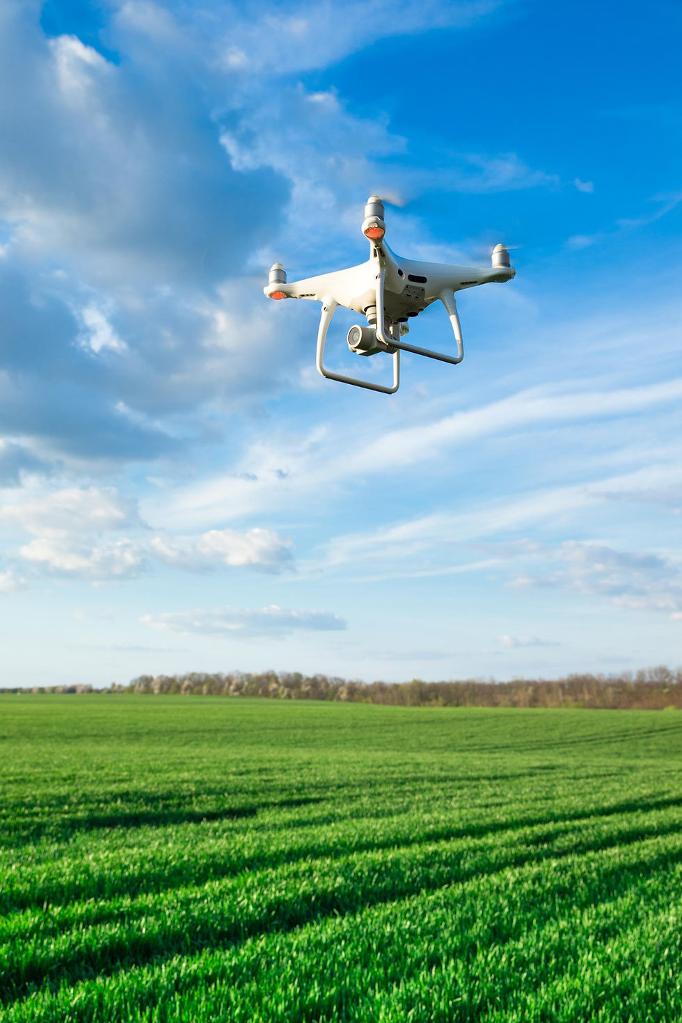 flying-drone-wheat-field (1).jpg