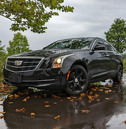 expertly cleaning a vehicle exterior and interior at a customer's location