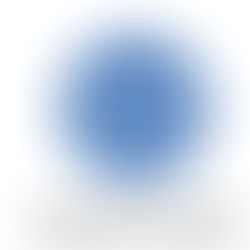 홈인스팩션과 레포트 보는 법