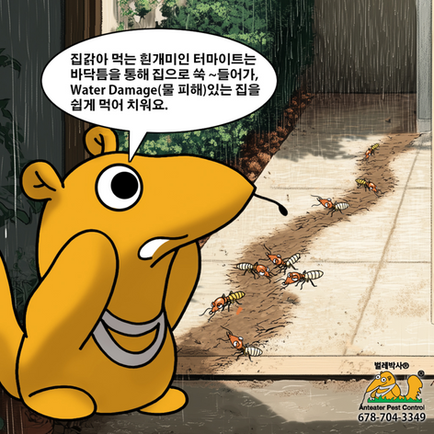 벌레박사 마스코트와 바닥 틈을 따라 이동하는 터마이트들을 그린 만화.