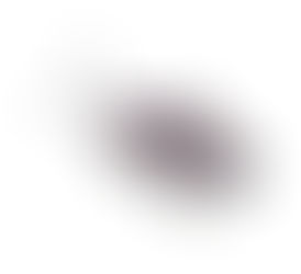 노린재 벌레가 집 밖에 몰려 있어요!